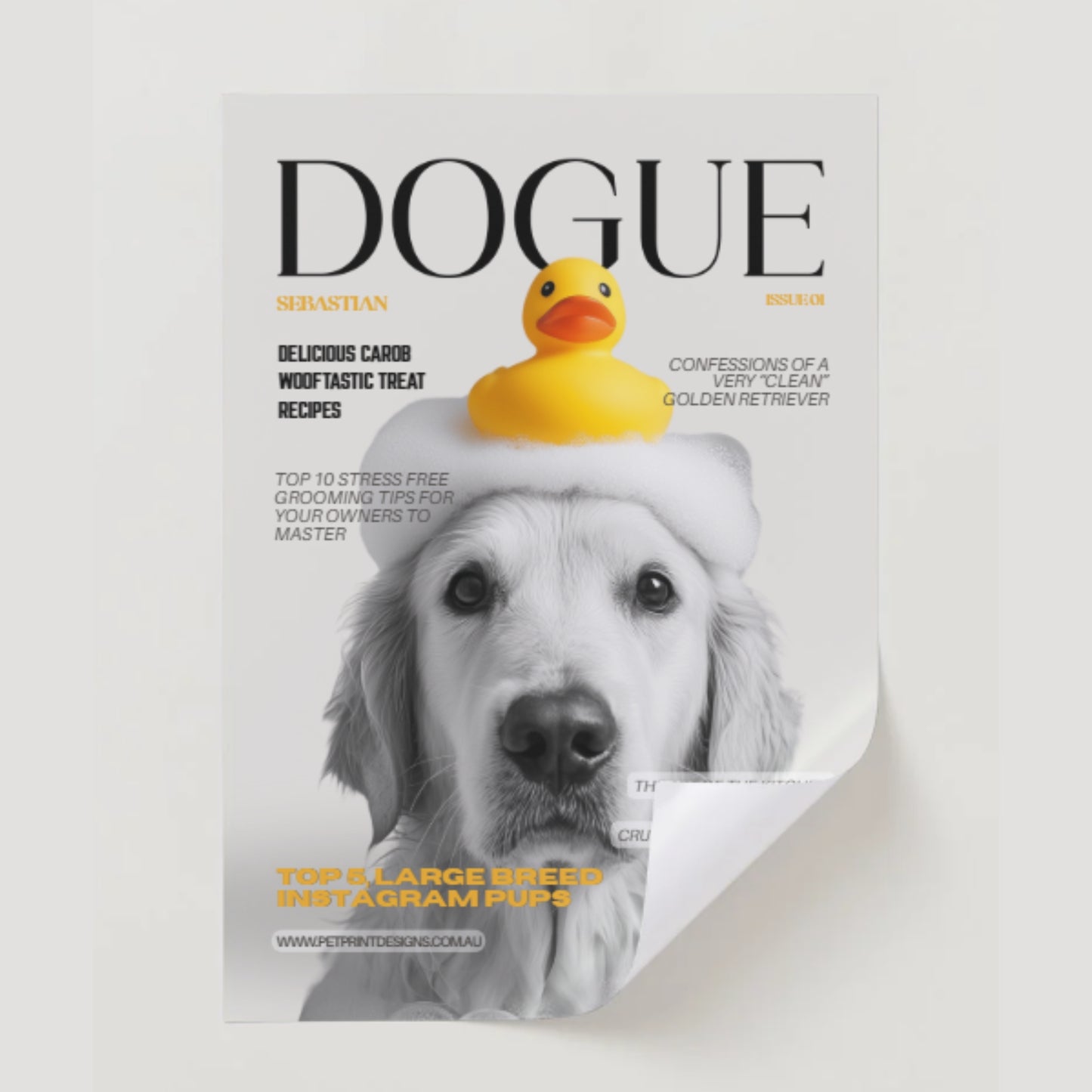 Magazine cover with a dog and rubber duck on a light gray background