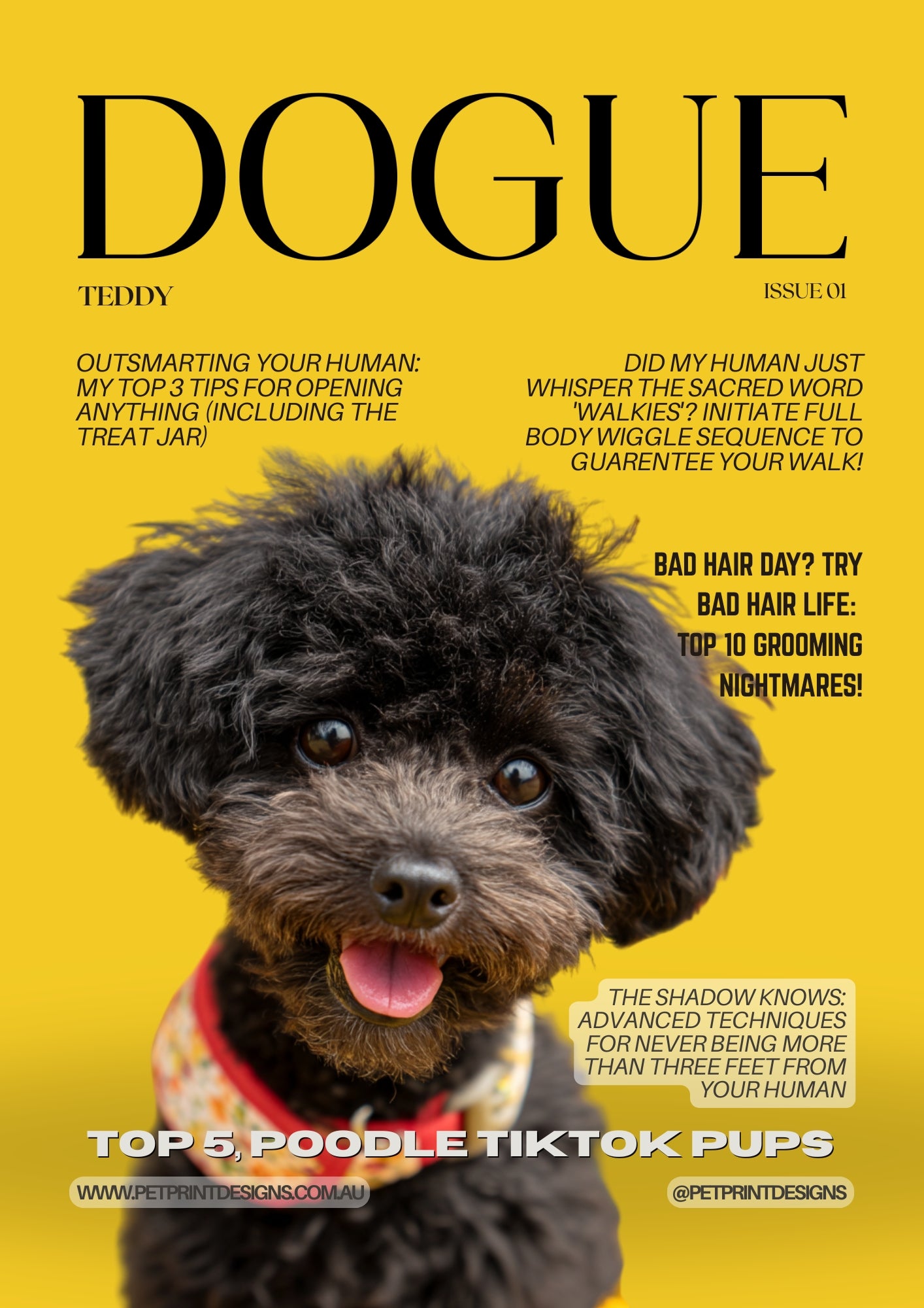 Magazine cover with a dog on a yellow background, featuring the title 'Dogue' and humorous text.