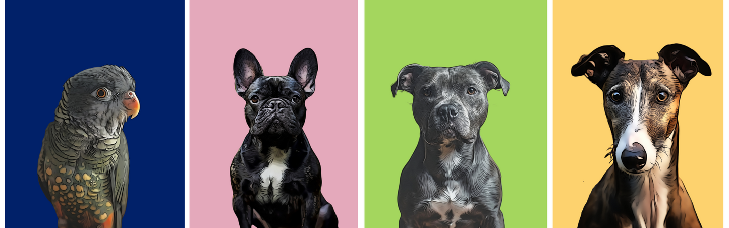 Custom Cartoon Pet Portraits - Custom Dog, Cat & Animal Art Prints