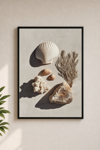 Shells & Coral No.2 | Coastal Still Life Framed Poster Prints